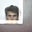 d feles's profile image