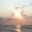 Shelley Stover-Nelson's profile image