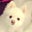 Alvin H's profile image