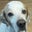 John Cooper's profile image