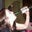 Anne Wilson's profile image