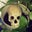 C. Michael Mowry's profile image