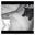 Morgan Trend's profile image