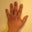 Laurie Humiston's profile image