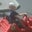 Paul Harjehausen's profile image