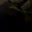 Robert Bjork's profile image