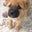 Alexis Lee's profile image