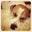 Rainstop Cheng's profile image