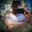Frankie Botz's profile image