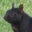 Wendi Percha's profile image