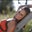 Lauren Pierce's profile image