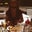 Jacqui Avellino's profile image