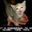Rich Ott's profile image