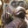 kina p's profile image
