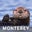 SeeMonterey's profile image