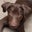 Linda Joseph's profile image