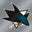 Billabong's profile image