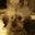 Carrie Lee C.'s profile image