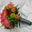 Kimberly Stanke's profile image