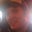 Kyle Siskey's profile image