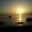 Susan Vasel's profile image