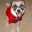Chelle H's profile image