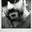 Randy Ritchell-Puckett's profile image