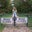 Samantha Gremore's profile image