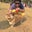 Gabriel Garcia-Cantu's profile image