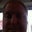 Rob Rush's profile image