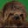 David Kurtz's profile image