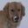 Lindsey Stallings's profile image