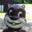 Daniel S's profile image