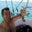 Dave Shallbetter's profile image