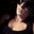 Taylor Stainback's profile image