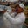 Jerico Gotengco's profile image