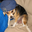 Dave Groves's profile image