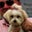 Jon Mitnick's profile image