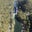 Cyndi Brown's profile image
