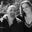 Tina Minehart's profile image