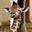 Kiko the Baby Giraffe