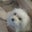 Lois Lee's profile image