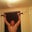 colby harrison's profile image