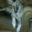 Patty Chrisopulos's profile image