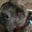 Stephanie Clark's profile image