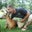 Paul Peglow's profile image