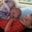 Vicki Muzzy-Gadd's profile image
