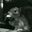 Airyn Vath's profile image