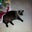 Carlos Rodriguez's profile image