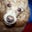 Peter Weisenberg's profile image